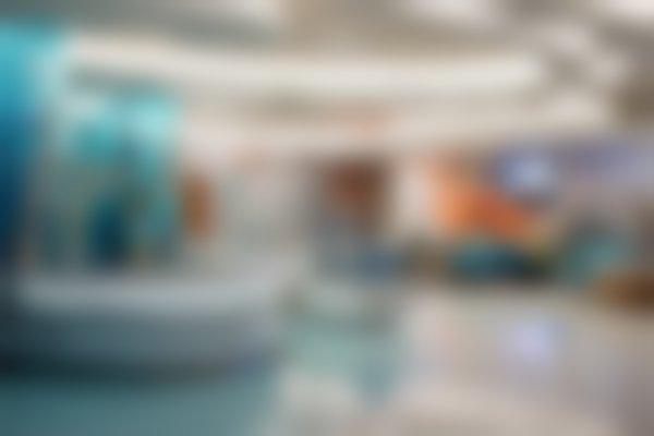 北部战区总医院整形外科