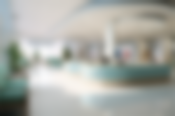 【北部战区总医院整形外科特色项目：】