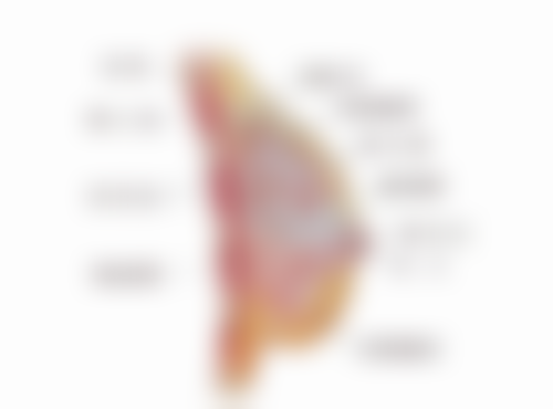 怎么把嘴巴变窄