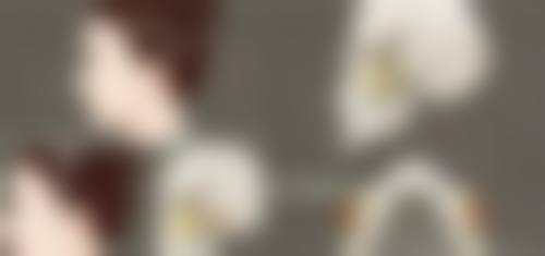 头发种植成活率有多高