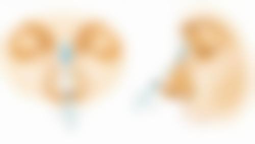 国产瘦脸针哪家好？揭秘3家口碑医美，安全高效瘦脸方案让你轻松拥有精致小V脸！ 