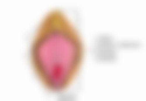 【上海市奉贤区南桥镇社区卫生服务站特色项目：】