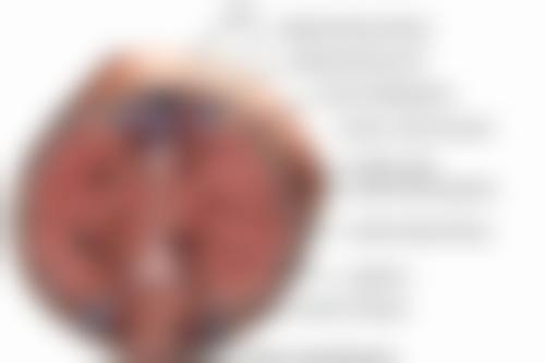 五、发际线种植后还会掉吗