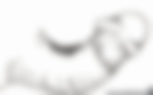 头发种植有没有成效啊