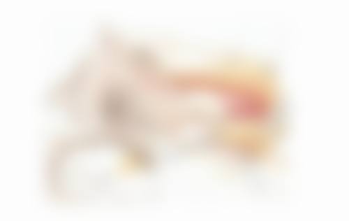 瘦脸针去哪里打