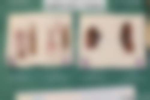 【昆明薇诺娜整形美容门诊部核心优势:】