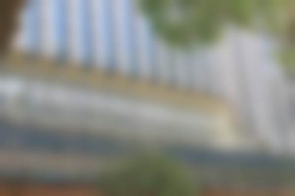 【艾竹林医生技术特点】