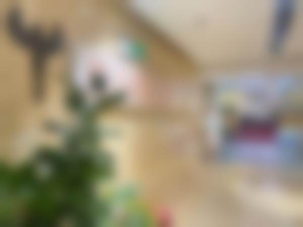 【顿兆医生怎么预约挂号？】