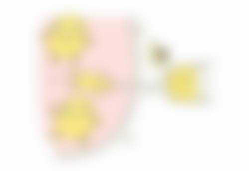 大方脸瘦下来脸更方了好丑啊