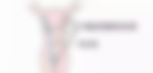 Fotona 4D Pro 激光美容仪购买渠道