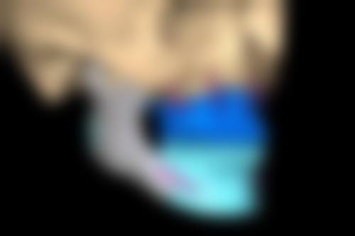 【赵四海医生怎么预约挂号？】