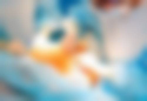 【成都铜雀台医学美容医院口腔科医生团队：】