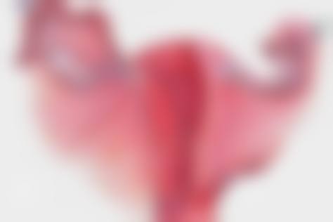 【邓娟娟医生荣誉资质：】