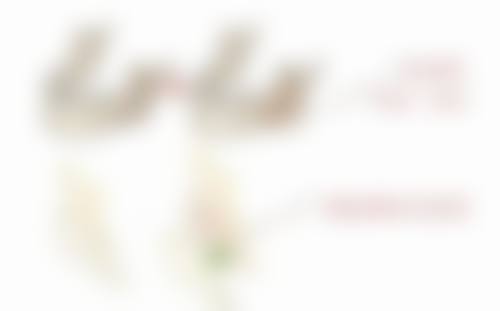 除皱针可以维持多长时间