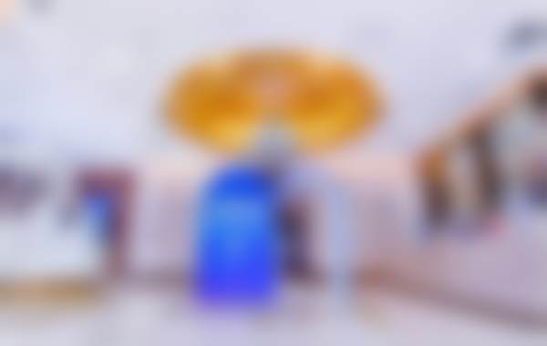 北京米兰柏羽丽都医疗美容医院金鑫鑫医生的收费在市场上值不值？