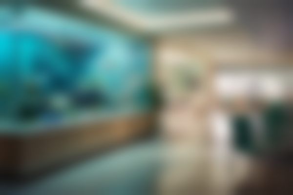 长沙伊美医疗美容门诊