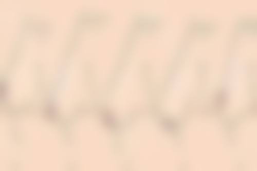 【通化狄波整形医疗美容诊所医生名单：】