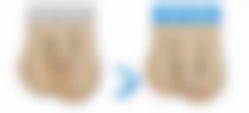 草莓的基本原理——生态与栽培技术