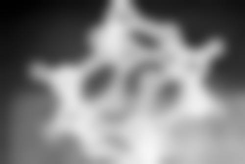 除皱手术的价格