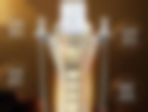 头发种植的价格