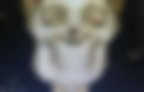 瘦脸针多久打一次成效至佳