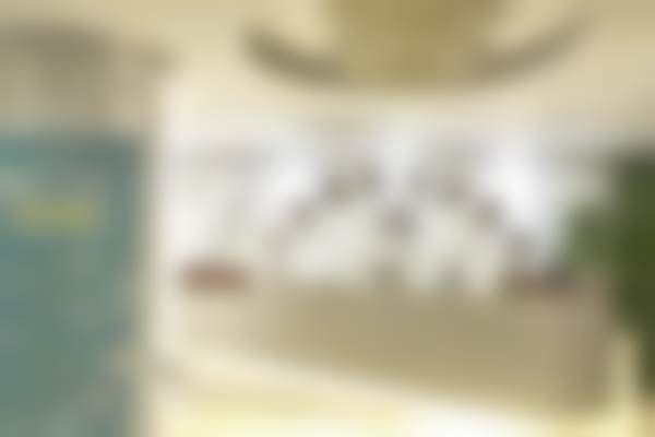 上海丽质的部分项目介绍