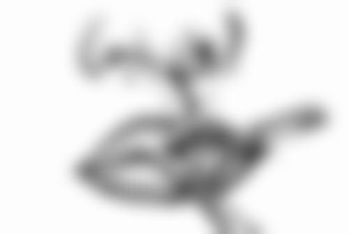 毛发种植一般是多少钱一棵