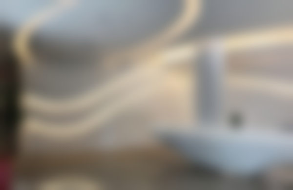 【罗杰东医生荣誉资质】