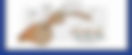 打瘦脸针有什么危害