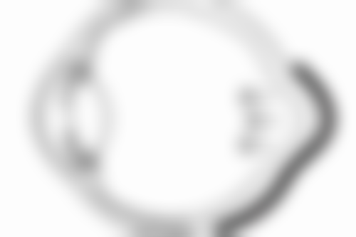 盆底肌和阴道松紧的关系