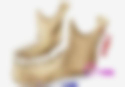 植物根毛的发生、发育及养分吸收与毛发种植的关联