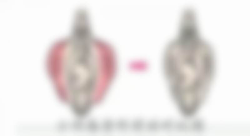 【骆豫医生荣誉资质：】