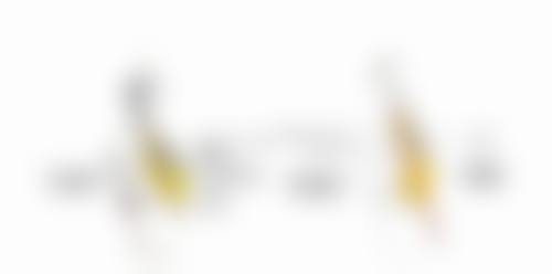 【赣州韩美整形口腔医院核心优势：】