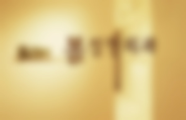 【金起雄医生技术特点：】