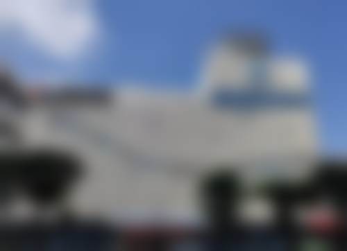 【杨禅中医生擅长项目】