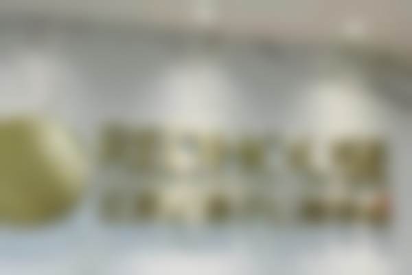 【袁紫芳医生执业信息】