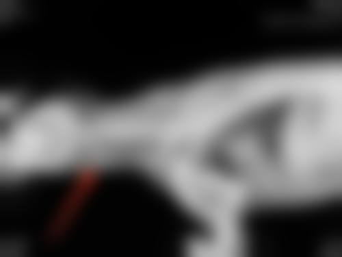 【花小金井站前Skin Clinic是正规的吗?】