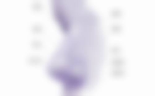 比较好的种植头发产品