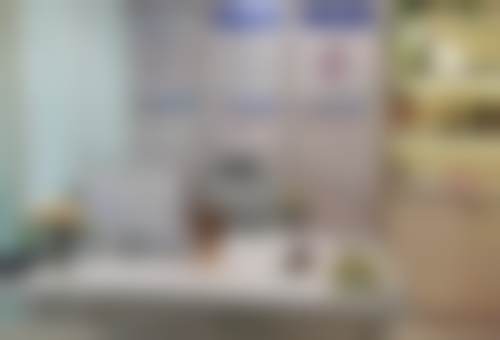 【宁波碧莲盛植发医院特色项目：】