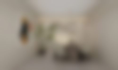 【洛阳洛龙佰丽医疗美容诊所医生名单：】