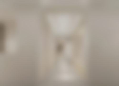 【洛阳洛龙佰丽医疗美容诊所特色项目：】