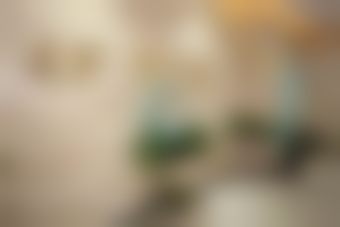 【薛政医生执业信息】