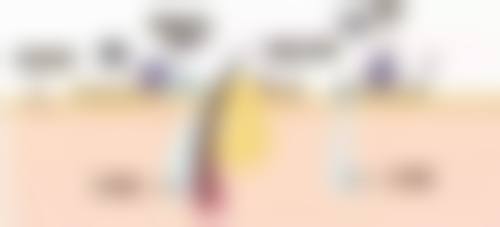 阴道紧缩大概需要多少检查费