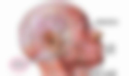 瘦脸针打完没感觉就是没有成效吗