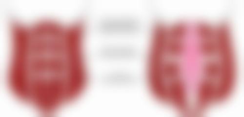 【绍兴柯桥金柯桥医院有限公司地址:】