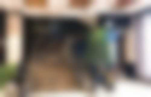 罗田田