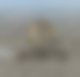 【林二石皮肤科是正规的吗?】
