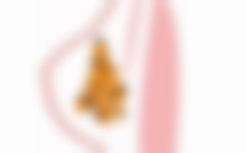 真实实例分享