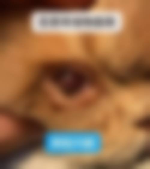 FAQ:常见问题解答