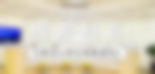 擅长项目详解